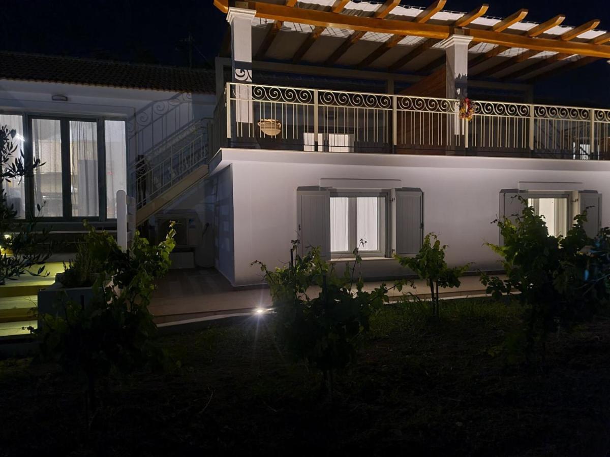Apollonides Seafront Villa1 Aoede Lixouri Ngoại thất bức ảnh