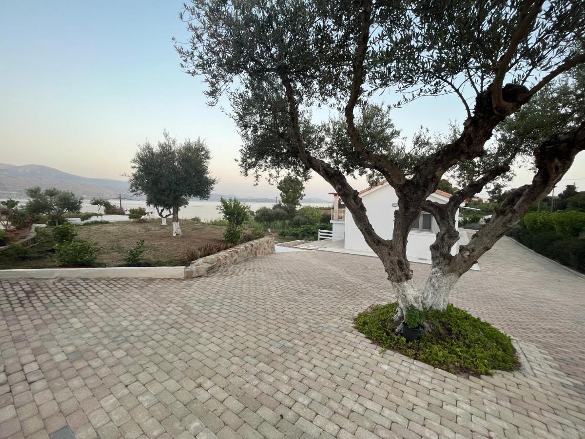 Apollonides Seafront Villa1 Aoede Lixouri Ngoại thất bức ảnh